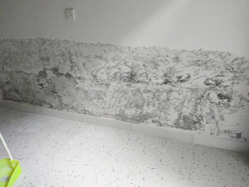 墻面局部鏟除防水：1、清理墻面：以鏟刀清除墻面已松動的膩?zhàn)訉?。用鏟刀無法清除的膩?zhàn)訉?，可以用小錘子輕輕敲擊，如果沒有空鼓的聲音，并且敲后仍不松動的地方可以保留原有的基層。 2、清洗墻面：用清潔水或洗滌靈將表面的浮塵、油污進(jìn)行徹底清洗干凈，然后用高壓水槍進(jìn)行徹底沖洗，清除已粉化的涂層。 3、修補(bǔ)墻面： （1）基層起皮的處理方法：鋼絲刷刷掉起皮的涂料面層，刷界面劑，重新進(jìn)行涂料施工。 （2）基層裂縫的處理方法：開V型槽，掛抗堿玻纖網(wǎng)格布，水泥砂漿抹面，批刮柔性膩?zhàn)樱M(jìn)行涂料施工。 （3）基層空鼓的處理方法：云石機(jī)切出空鼓的墻面，薄而多遍的水泥砂漿抹面，達(dá)到原有墻面的高度，刷界面劑，然后進(jìn)行涂料施工。