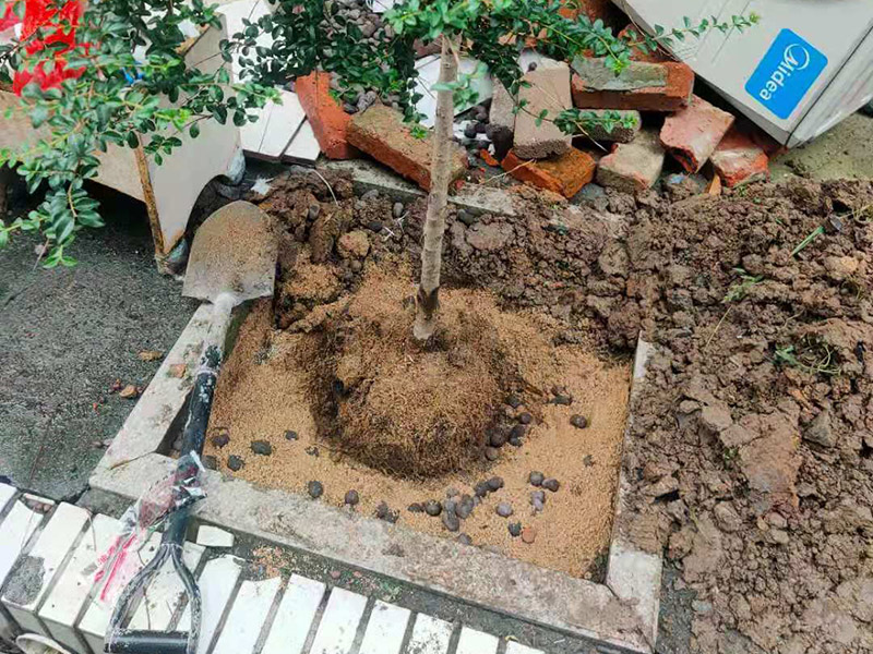 庭院植物底部防水：找到本來的防水層，由于防水層不是顯露的，是在面層下部，有必要將面層進(jìn)行悉數(shù)根除，找到本來的防水層。將原防水層根除以后，找平，將本來下部保溫層里存的水進(jìn)行排干，設(shè)一些排氣孔做排氣辦法，將保溫層里的水分排干。做完防水層以后，必定要做找坡處理，不要形成屋面部分存水，通常設(shè)置水泥砂漿找平找坡，找坡的斜度不小于3%。再進(jìn)行閉水實(shí)驗(yàn)，不漏水為合格，再進(jìn)行康復(fù)上面的維護(hù)及鋪貼面磚裝修。